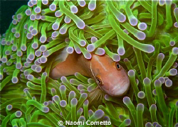 This is my home!!!!! by Naomi Cometto 